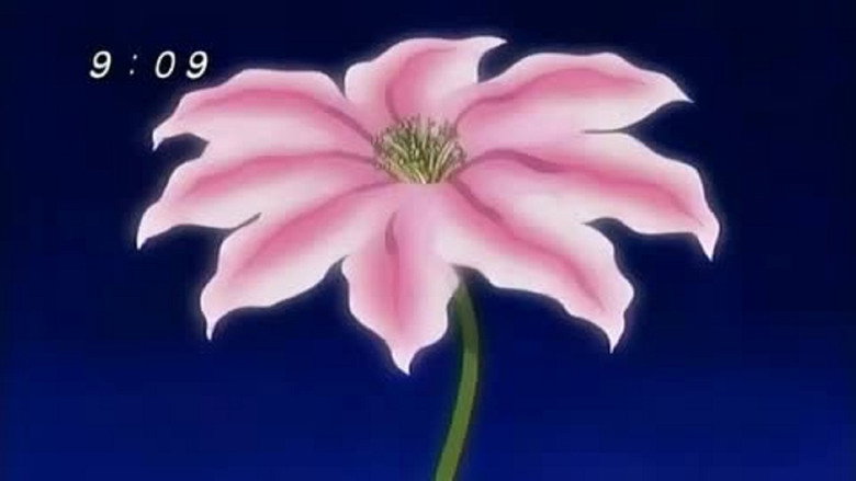 Episode 19